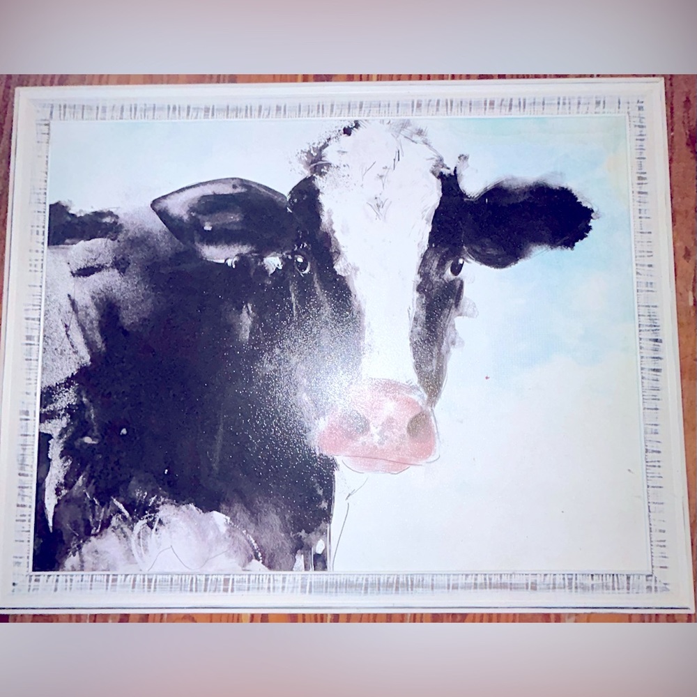 Cow picture
